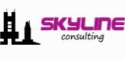 Skyline consulting solutions
