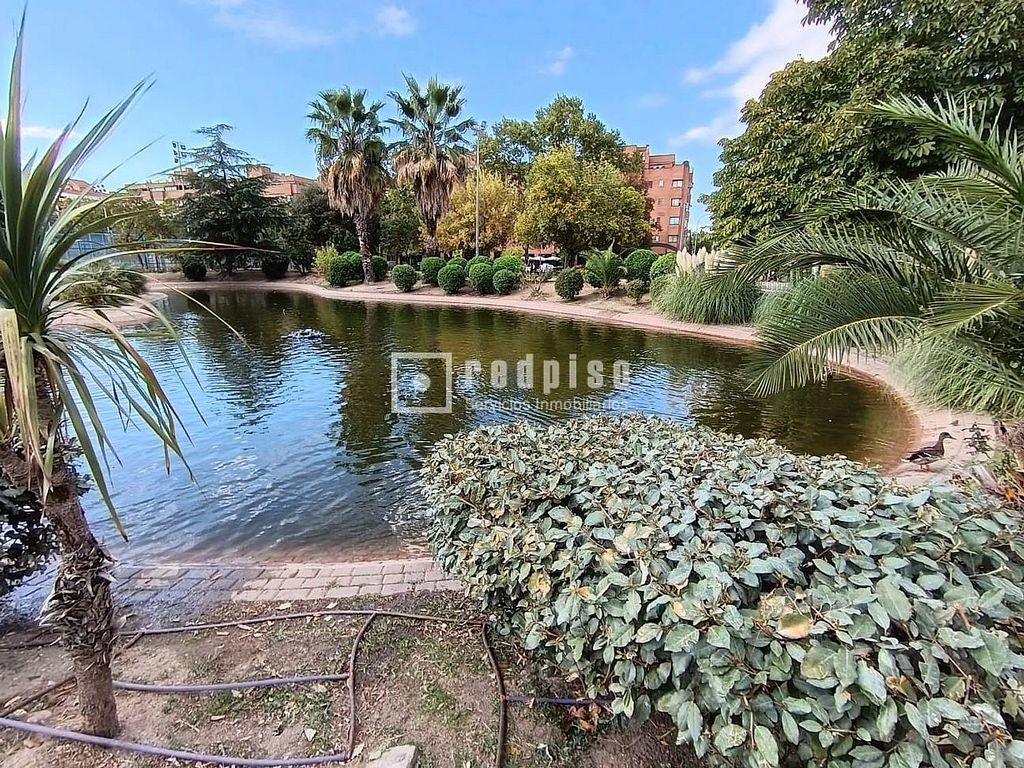 Venta De Piso En Veredillas Juncal Zarzuela Torrej n De Ardoz venta-de-piso-en-veredillas-juncal-zarzuela-torrej-n-de-ardoz