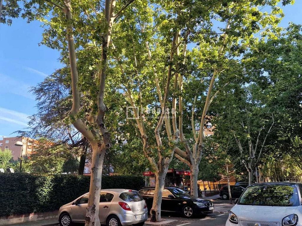 Piso en Alameda de Osuna, Madrid · 102311396 yaencontre