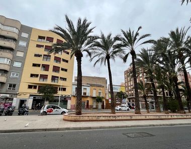 Foto 2 de Pis a El Pla de Sant Josep - L'Asil, Elche