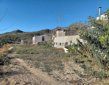 Foto 2 de Casa rural en Jumilla