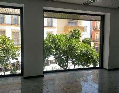 Foto 1 de Oficina en Centro, Jerez de la Frontera