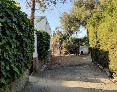 Foto 2 de Casa rural en calle Nájara en Vejer de la Frontera