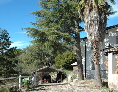 Foto 2 de Casa rural en calle Los Brezos en Cortes de la Frontera