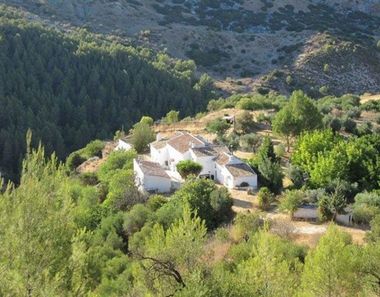 Foto 1 de Casa rural en Cañete la Real