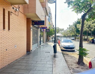 Foto 1 de Traster a calle Vicente Savall Pascual a Centro, San Vicente del Raspeig/Sant Vicent del Raspeig