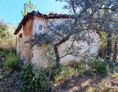 Foto 1 de Casa rural en Castaño del Robledo