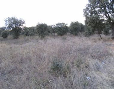 Foto 1 de Terreno en Área Rural, Zamora