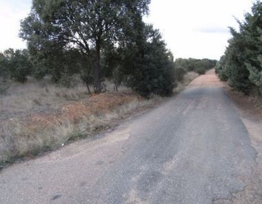 Foto 2 de Terreno en Área Rural, Zamora