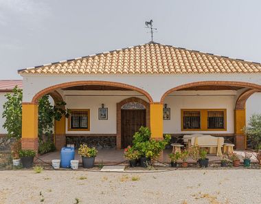 Foto 2 de Casa rural en Morón de la Frontera