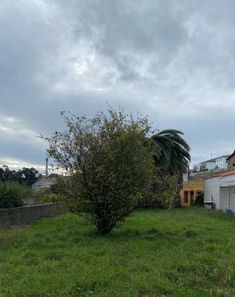 Foto 2 de Chalet en Agra del Orzán - Ventorrillo - Vioño, Coruña (A)