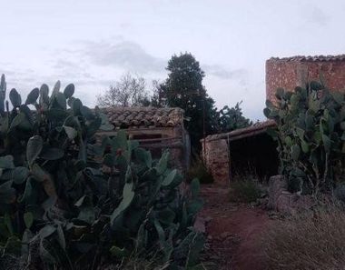 Foto 2 de Casa rural en Salines (Ses)