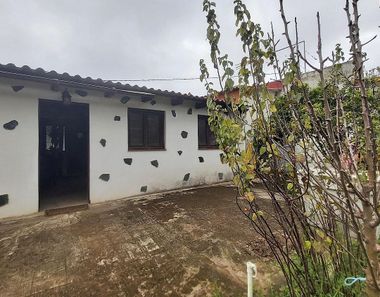 Foto 1 de Casa rural en Montaña-Zamora-Cruz Santa-Palo Blanco, Realejos (Los)