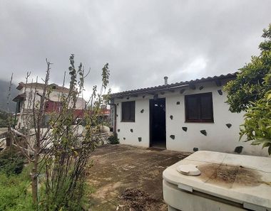 Foto 2 de Casa rural en Montaña-Zamora-Cruz Santa-Palo Blanco, Realejos (Los)