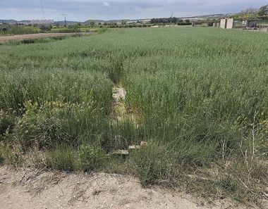 Foto 1 de Terreno en Zona Pueblo, Guardamar del Segura