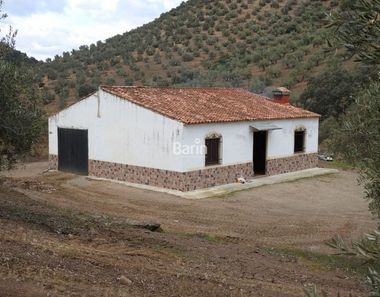 Foto 2 de Casa rural en Adamuz