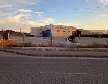 Foto 2 de Nave en carretera Murcia en Mula