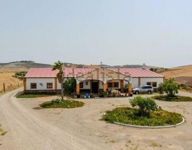 Foto 2 de Casa rural en Castilblanco de los Arroyos