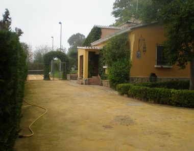 Foto 1 de Casa rural en Mairena del Alcor