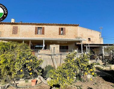 Foto 1 de Casa rural a La Indioteria, Palma de Mallorca