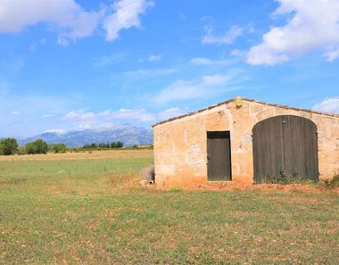 Foto 1 de Casa rural en Llubí