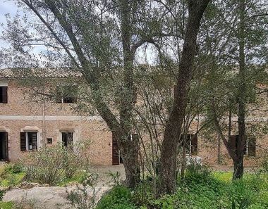 Foto 2 de Casa rural en Son Rapinya - La Vileta, Palma de Mallorca
