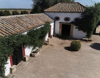 Foto 2 de Casa rural en carretera Se en Coria del Río