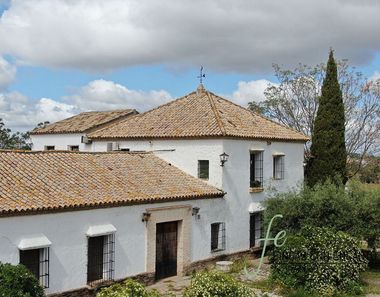 Foto 1 de Casa rural en carretera La Puebla de Cazalla Marchena Km en Marchena