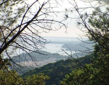 Foto 2 de Terreny a Roca Grossa - Serra Brava, Lloret de Mar