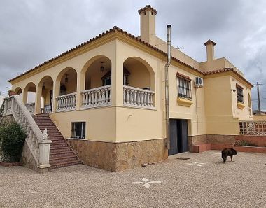 Foto 2 de Casa rural en Las Palmeras-Dehesilla, Sanlúcar de Barrameda