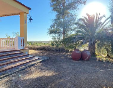 Foto 1 de Casa rural en Almendralejo
