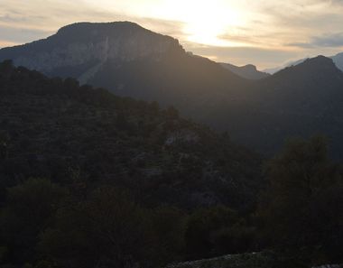 Foto 2 de Terreno en Mancor de la Vall