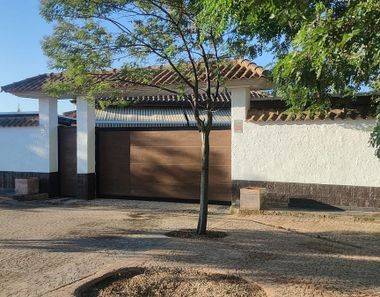 Foto 1 de Casa rural a San Pedro de Mérida