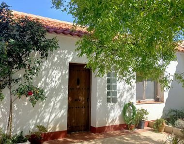 Foto 2 de Casa rural en calle Miguel García en Villaviciosa de Córdoba