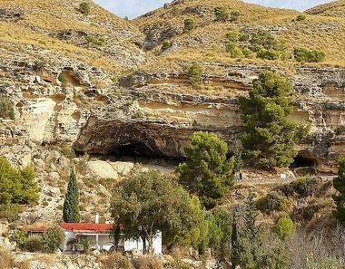 Foto 2 de Casa rural en carretera Camino Cueva Negra en Fortuna