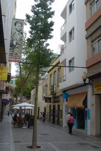 Foto 1 de Piso en calle Torres, Triana, Palmas de Gran Canaria(Las)