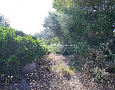 Foto 2 de Terreno en Cala Blanca, Ciutadella de Menorca