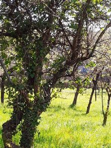 Foto 2 de Terreno en Bóveda