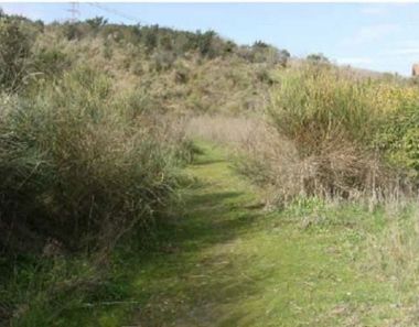 Foto 1 de Terreny a Mas Rampinyó - Carrerada, Montcada i Reixac
