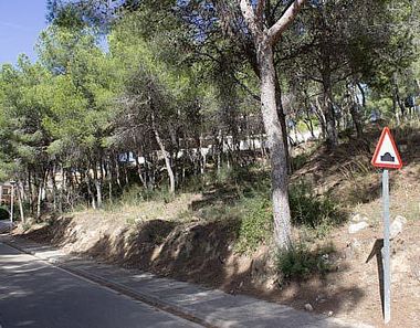 Foto 1 de Terreno en calle Los Pinos Esqu Parcela en El Bosque, Chiva
