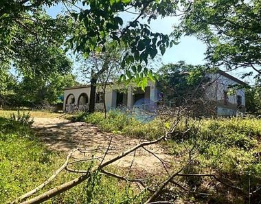 Foto 2 de Casa rural en Carmona