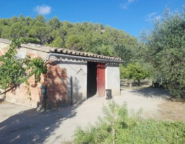 Foto 1 de Casa rural en Miravet