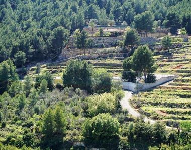 Foto 2 de Terreno en carretera Partida Onaer en Callosa d´En Sarrià
