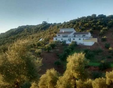 Foto 1 de Casa rural en Montoro