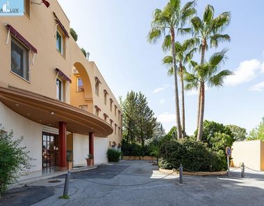 Foto 2 de Estudio en venta en Bola de Oro - Serrallo con terraza y piscina