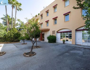 Foto 3 de Estudio en venta en Bola de Oro - Serrallo con terraza y piscina
