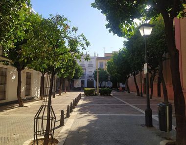 Foto 1 de Piso en San Vicente, Sevilla