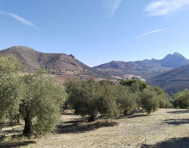 Foto 1 de Terreno en Zona de la Vega, Antequera