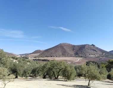 Foto 2 de Terreno en Zona de la Vega, Antequera