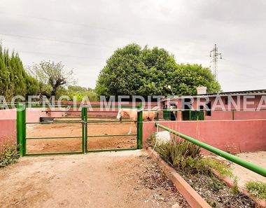 Foto 1 de Terreno en Albalat dels Tarongers